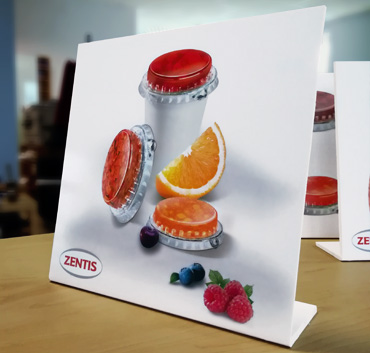 Zentis przystawka pcv