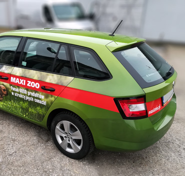 Maxi Zoo samochód tył