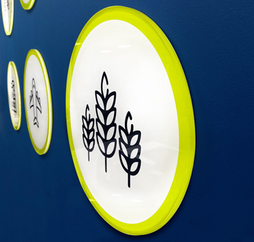 ASF ikona przybliżenie